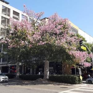 Meet your Posher, Panny